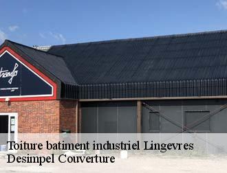 Toiture batiment industriel  lingevres-14250 Desimpel Couverture