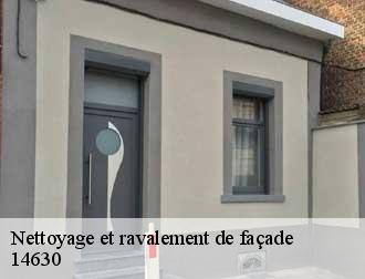 Nettoyage et ravalement de façade  14630