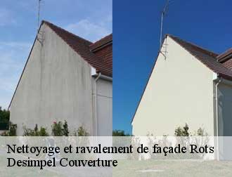 Nettoyage et ravalement de façade  14980