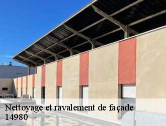 Nettoyage et ravalement de façade  14980